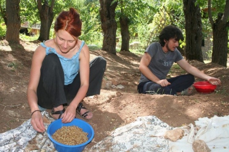 Çiftlikte çalışarak tatil