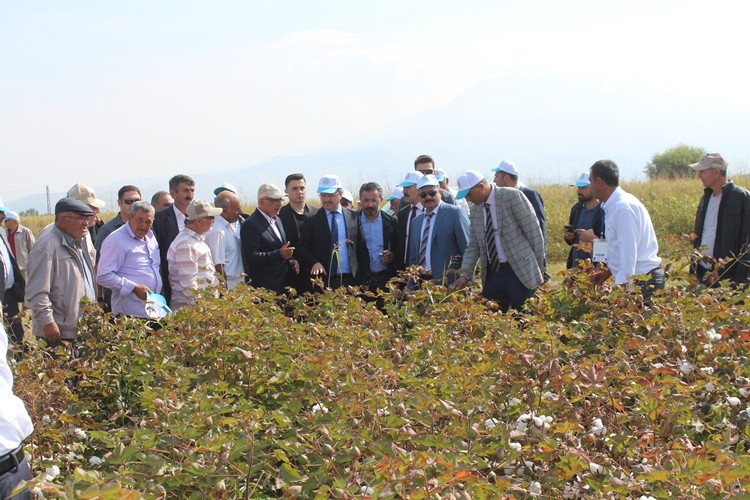 'Beyaz Altın' Üretimi Katlanarak Artıyor