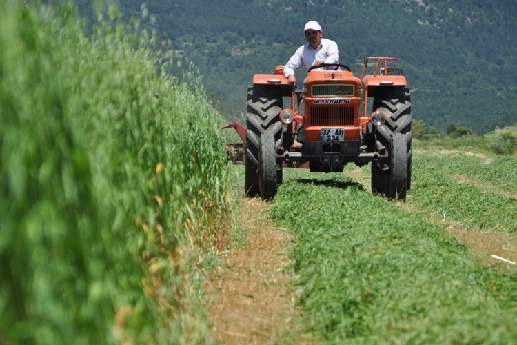 Tarım ürünleri üretici fiyat endeksi açıklandı