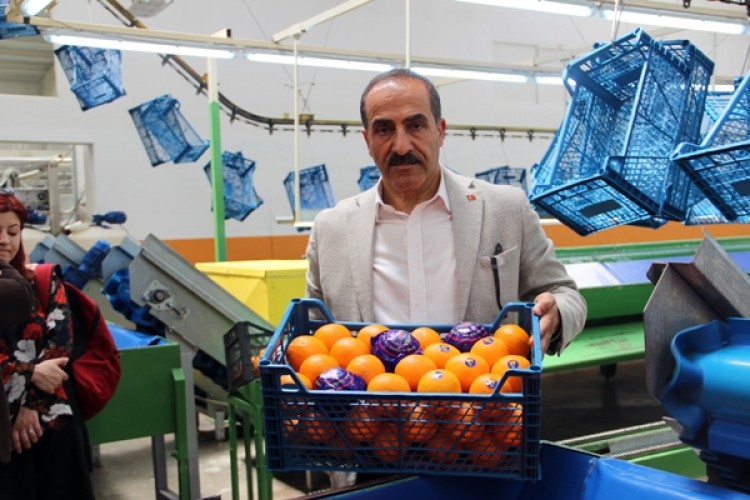 Tarım Ürünleri İhracatına Tarım OSB Dopingi