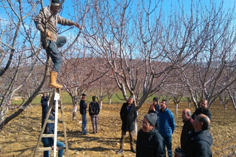 İlçe Tarım Uygulamalı Eğitimlerine Devam Ediyor