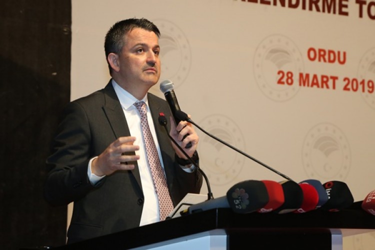 Pakdemirli: “TMO Fındık Üreticisinin Yanında Olacak”