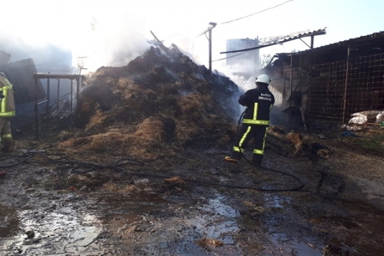 Bursa’da ahırda çıkan yangında 10 ton buğday kül oldu