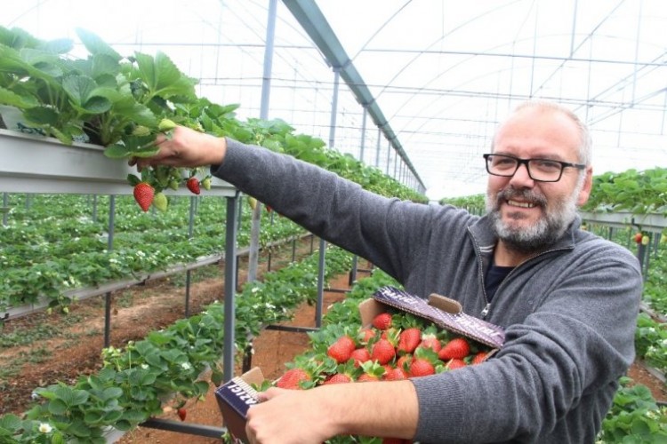 Serasından toprağı çıkardı, gelirini 5’e katladı