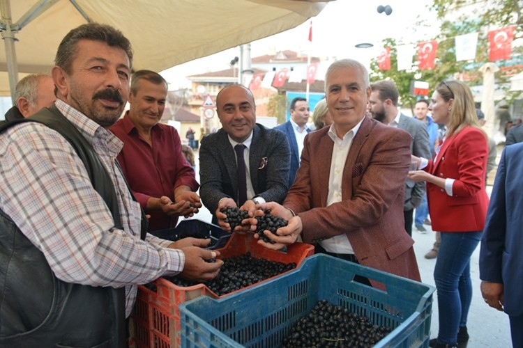 Bozbey: Zeytin sofranızdan eksik olmasın