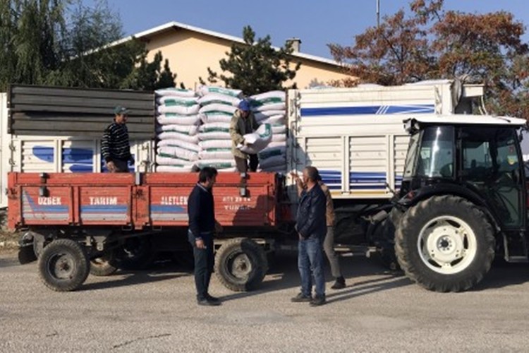 Tarım Kredi Kooperatifinden Üreticilere Hibe Buğday Tohumu