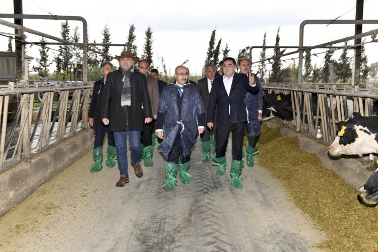 Vali Demirtaş, Doğrular Tarım’ı Ziyaret Etti