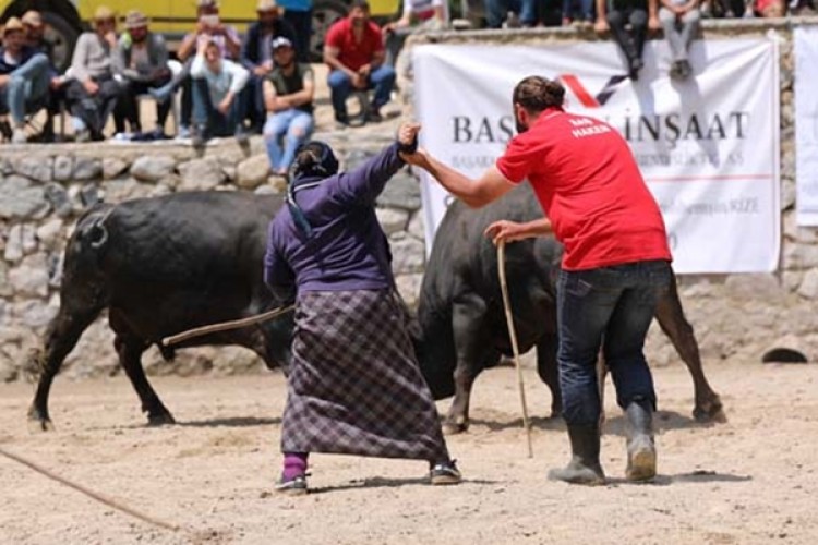 Boğa Güreşinde 'Karabela'nın Sahibi Kadın İlgi Odağı Oldu