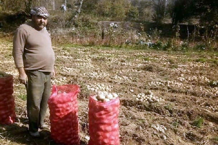 Öyle Bir Yöntem Yaptı Ki! Patates Verimini İki Kat Artırdı