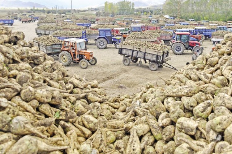 Bakanlık açıkladı: İmzalar atılmaya başladı