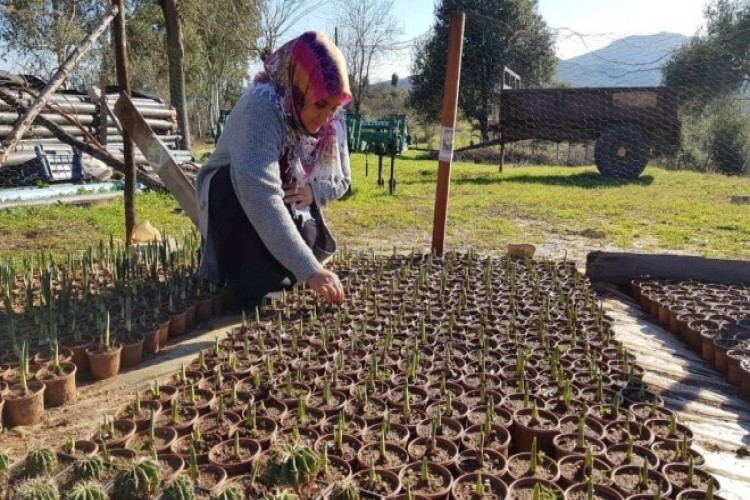 Proje Yapıp Başladığı İşte Siparişleri Yetiştiremiyor