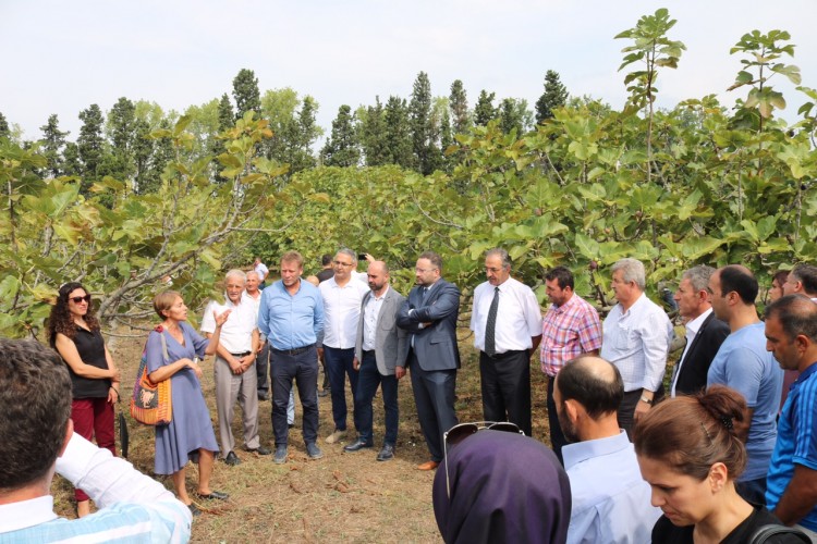 Hasat Sonrası Kayıpları Azaltmak İçin Yenilikçi Proje Tanıtıldı