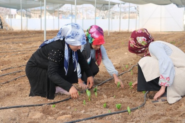 Şanlıurfa Hollanda’ya meydan okuyacak