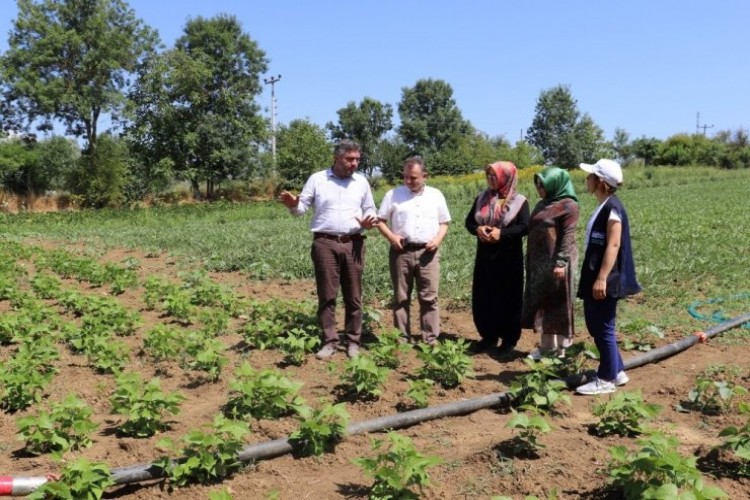 Kocaeli’de çiftçiler çok şanslı