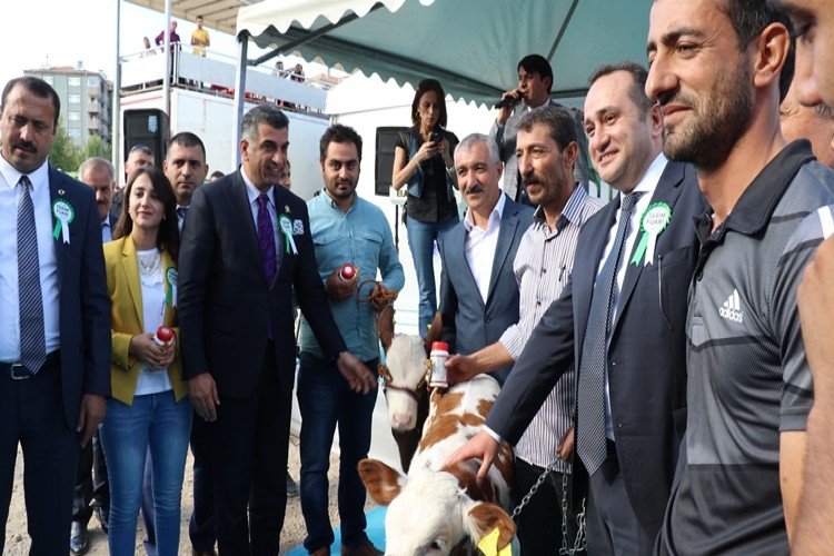 Elazığ 2. Tarım, Tarım Makineleri, Gıda, Hayvancılık Ve Teknoloji Fuarı Açıldı