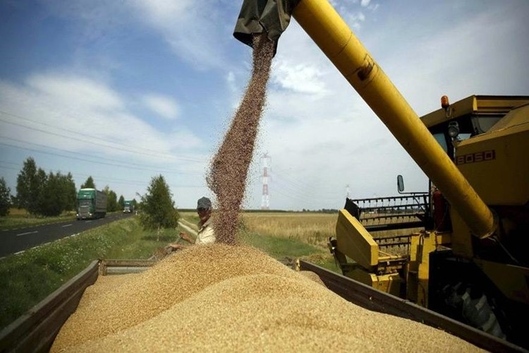 1 Kilo Buğday Satıyor 1 Fincan Kahve İçemiyor