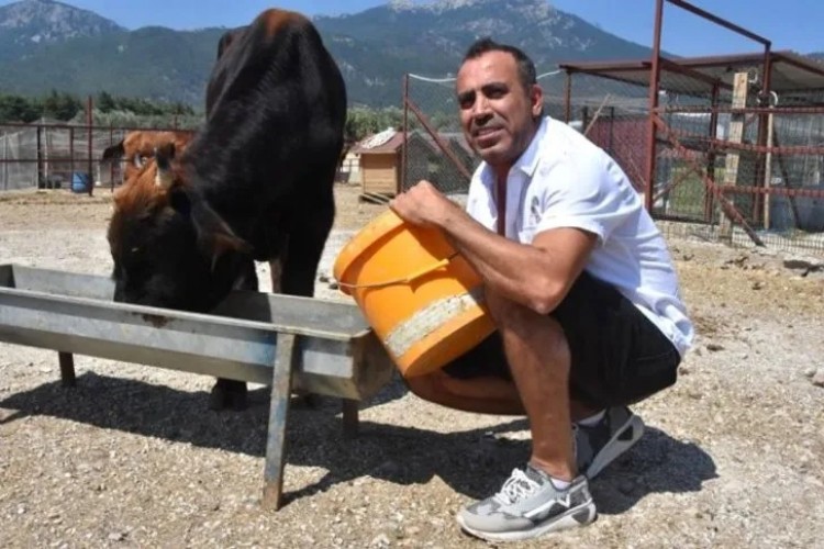 Haluk Levent'in destek olduğu fenomen boğa Ferdinand, baba oldu