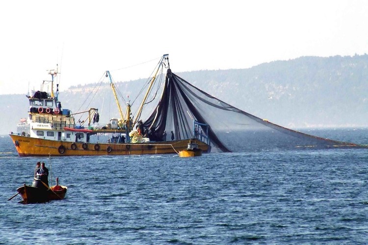 Bakan Pakdemirli Açıkladı! 11,5 Milyon Lira Ceza Kesildi