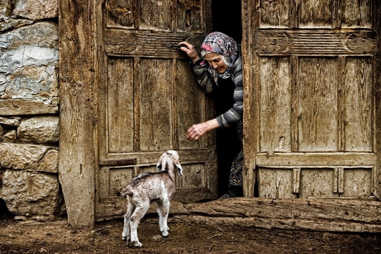 Can Yoldaşımla En Güzel Fotoğraf Yarışması Sonuçlandı