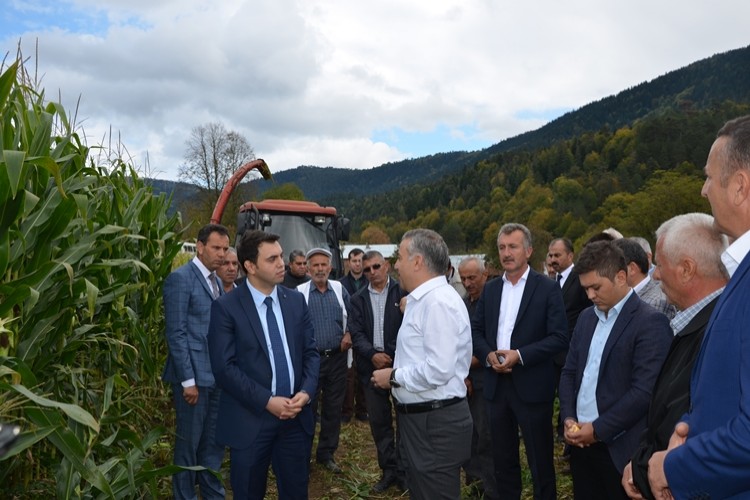 Şahin: Hayvancılığın Olmazsa Olmazı Kaba Yemdir