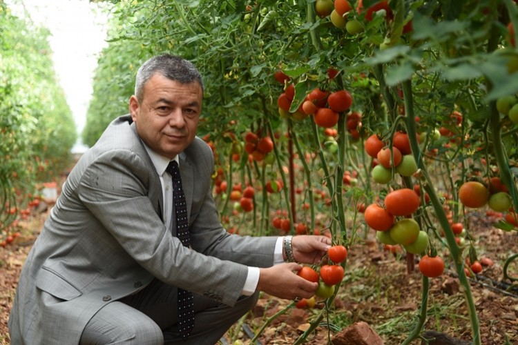 Gelin Kardeş Olalım Projesi Hayata Geçiyor