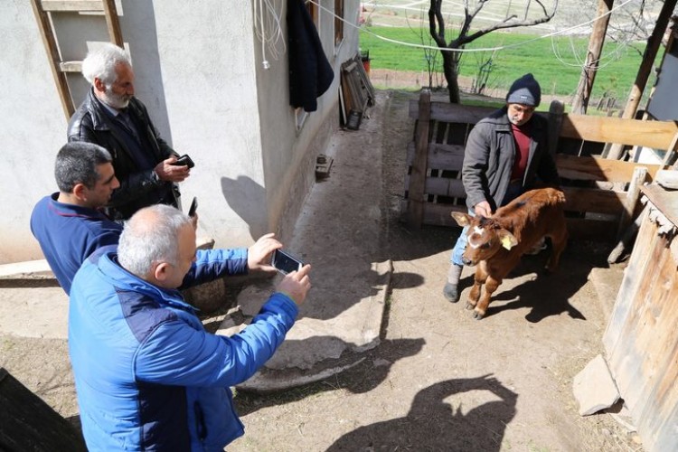 Herkes Onu Görmek İçin Geliyor! Bir İlçe Bunu Konuşuyor