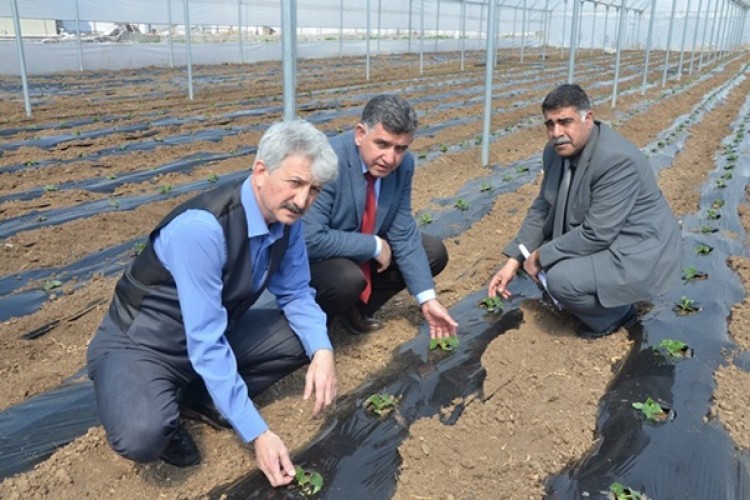 Desteklenen Sera Projeleri Yerinde İncelendi