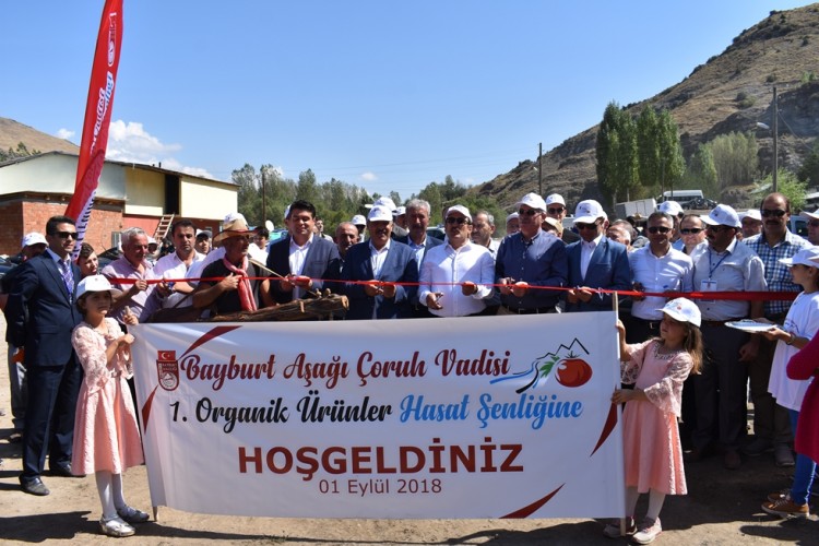 Hasat Şenliği Coşkusu Artarak Devam Etmeli…