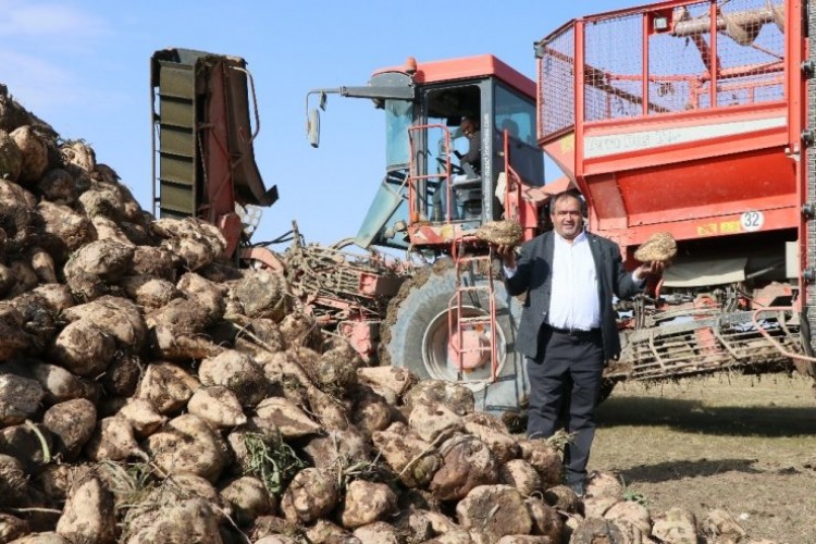 Pancar Taban Fiyatları Yeniden Gözden Geçirilsin