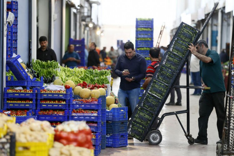 Son Dakika: Bakan Pekcan Duyurdu, Yeni Hal Modeli Geliyor!