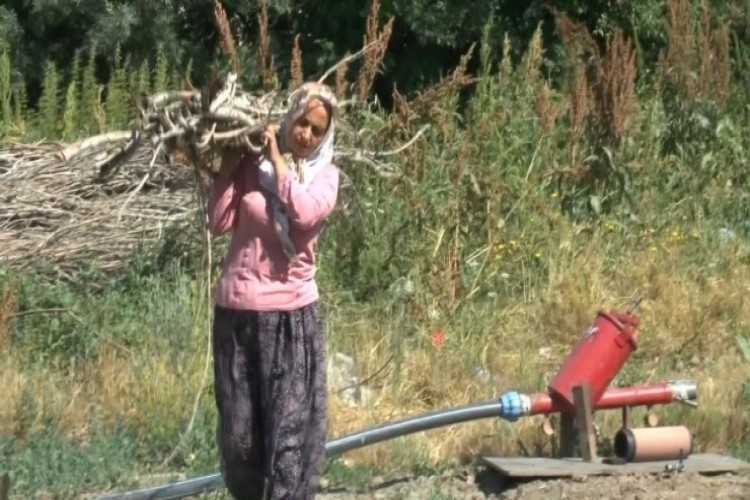 Kadın çiftçi, tarım desteğiyle örnek oluyor