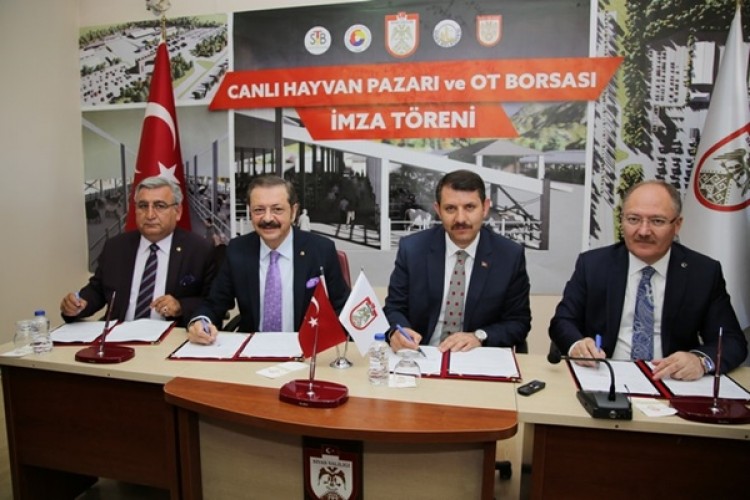 Sivas’a Canlı Hayvan Pazarı ve Ot Borsası Kurulacak