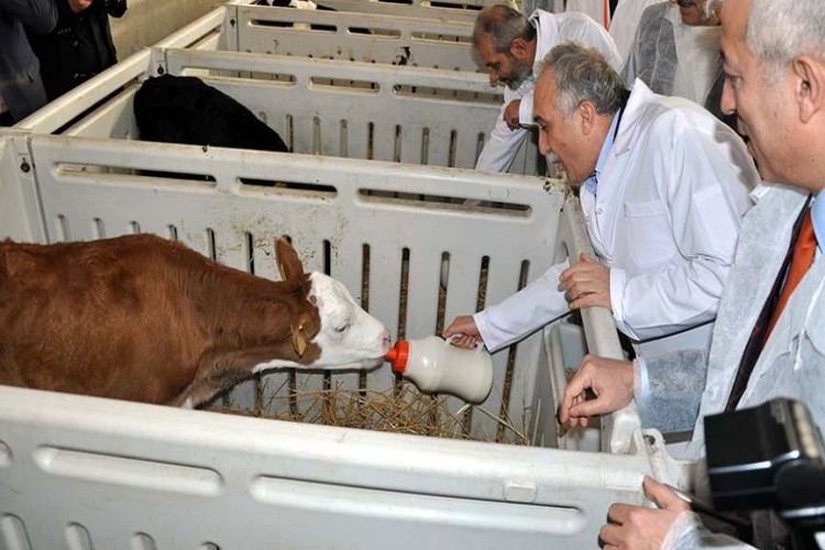 Fakıbaba: Bizim Zamanımızda Sağlıklı Hayvan İthal Edildi