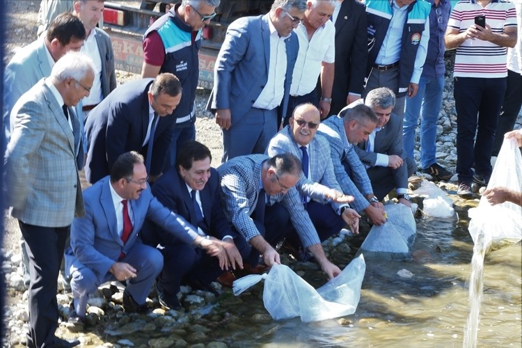 500 Bin Yavru Sazan İznik Gölü ile Buluştu