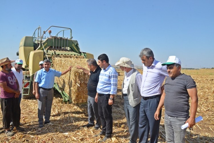 Kiyas: Çok Daha Güzel Çalışmalara Da Umut Olacak Bir Olaya Tanıklık Etmekteyiz