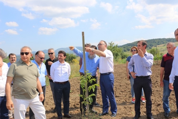 Yalova'da Üreticilere Tarımsal Projelerle Destek Veriliyor