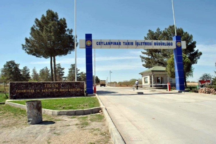 Ceylanpınar’daki Yangınla İlgili Bakanlıktan Açıklama