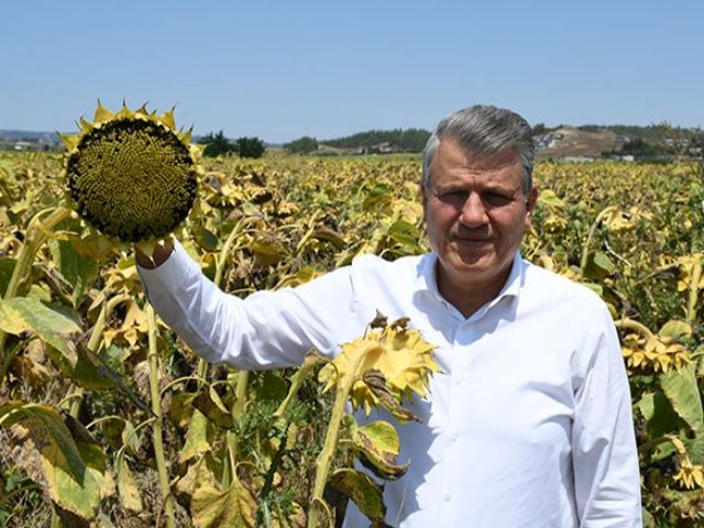 Yanlışa son verin, aldığınız kararı revize edin